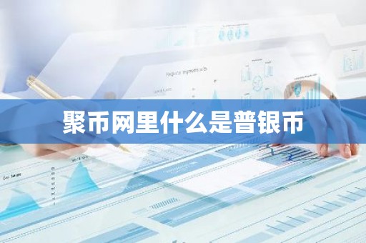 聚币网里什么是普银币
