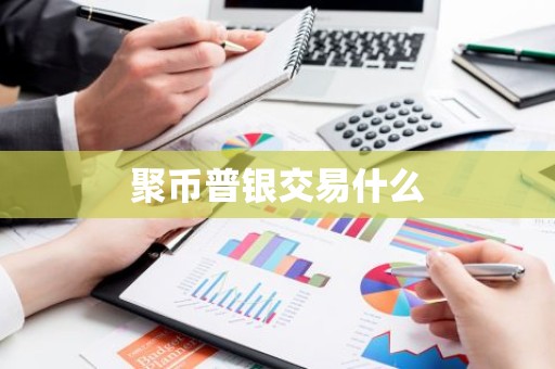 聚币普银交易什么