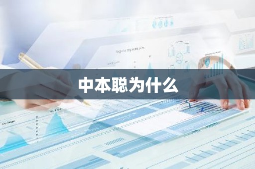 中本聪为什么