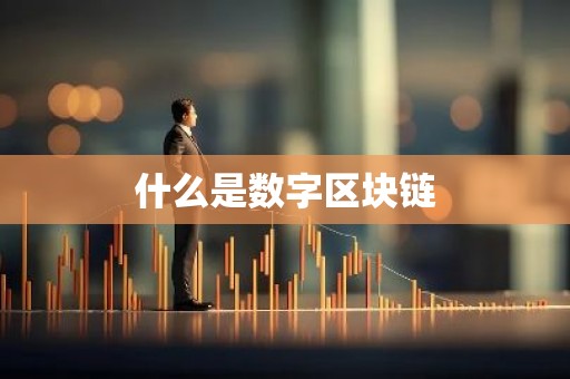 什么是数字区块链
