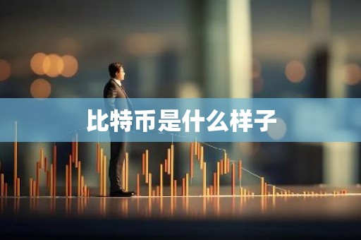 比特币是什么样子