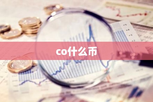 co什么币