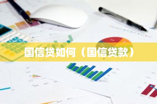 国信贷如何（国信贷款）