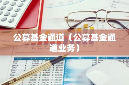 公募基金通道（公募基金通道业务）