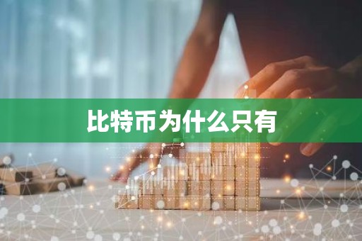 比特币为什么只有