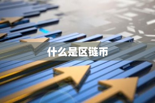 什么是区链币