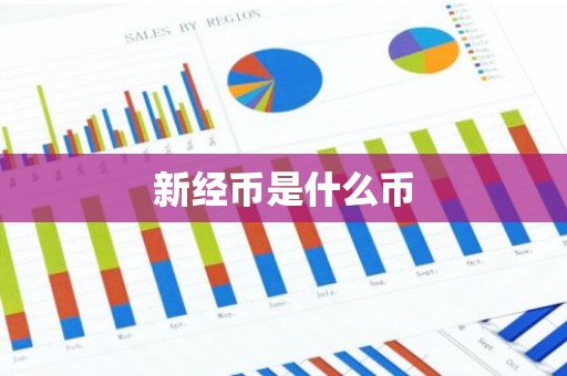 新经币是什么币