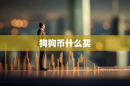 狗狗币什么买