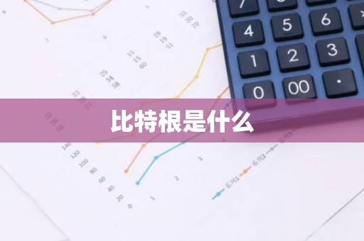 比特根是什么