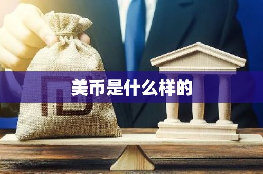 美币是什么样的