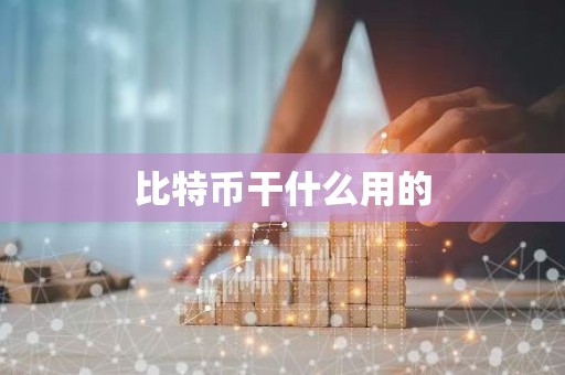 比特币干什么用的