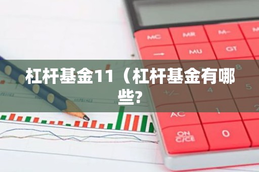 杠杆基金11（杠杆基金有哪些?