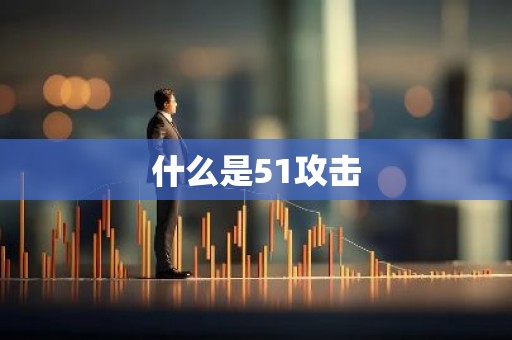 什么是51攻击