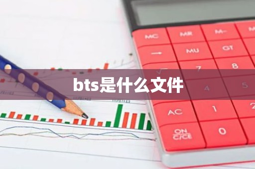 bts是什么文件