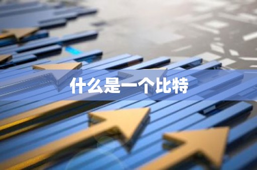 什么是一个比特