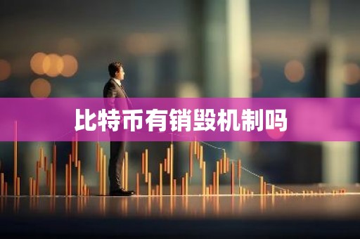 比特币有销毁机制吗