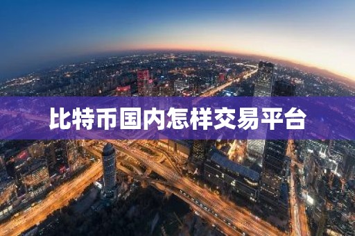 比特币国内怎样交易平台