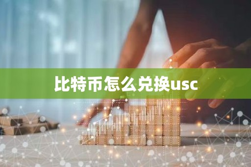 比特币怎么兑换usc