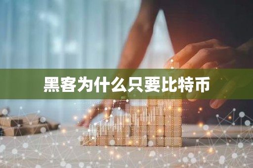 黑客为什么只要比特币