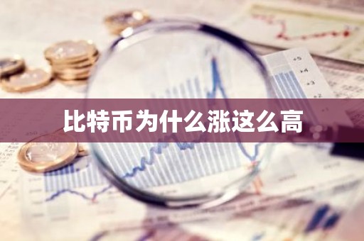 比特币为什么涨这么高