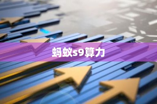 蚂蚁s9算力