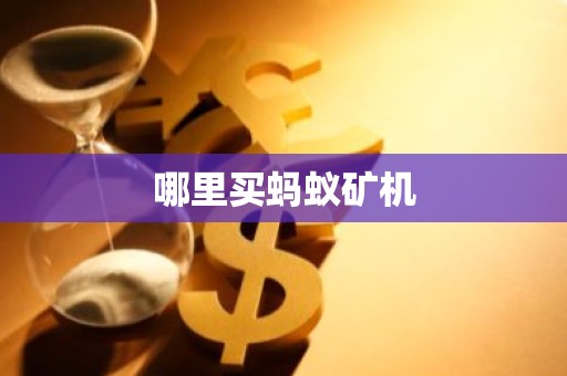 哪里买蚂蚁矿机