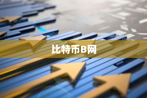 比特币B网