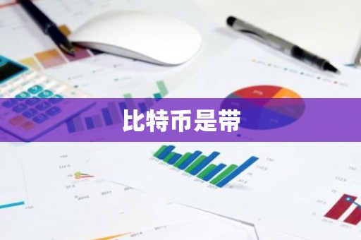 比特币是带