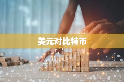 美元对比特币