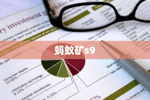蚂蚁矿s9