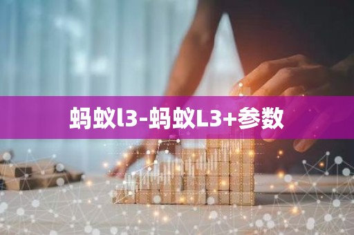 蚂蚁l3-蚂蚁L3+参数