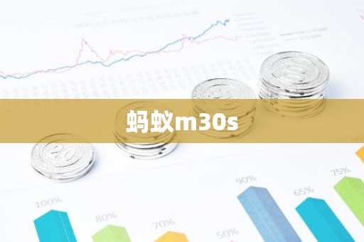 蚂蚁m30s