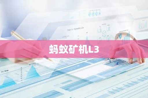 蚂蚁矿机L3