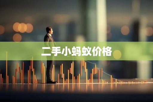 二手小蚂蚁价格