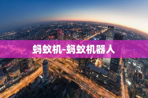 蚂蚁机-蚂蚁机器人