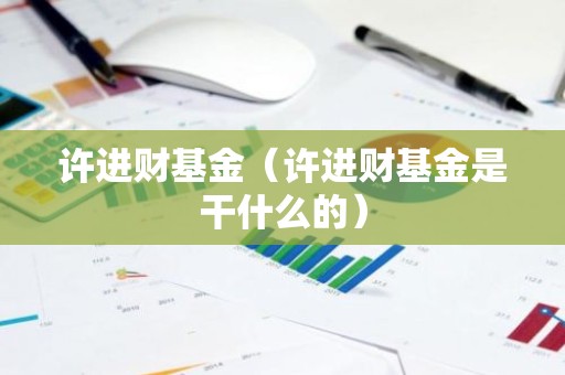 许进财基金（许进财基金是干什么的）