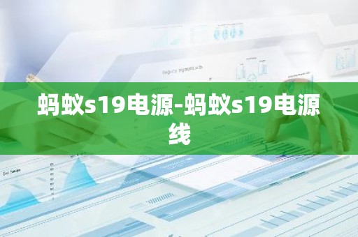 蚂蚁s19电源-蚂蚁s19电源线