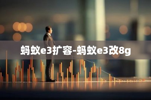 蚂蚁e3扩容-蚂蚁e3改8g