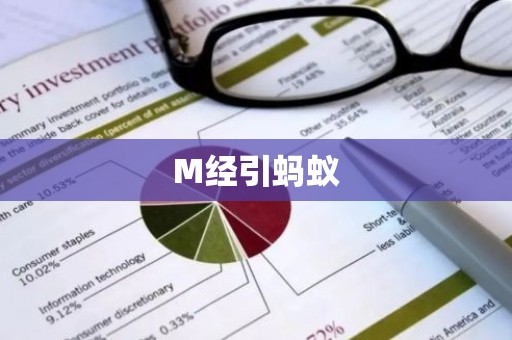 M经引蚂蚁
