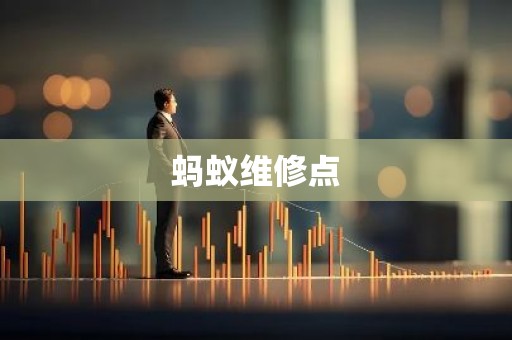蚂蚁维修点