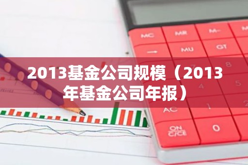2013基金公司规模（2013年基金公司年报）