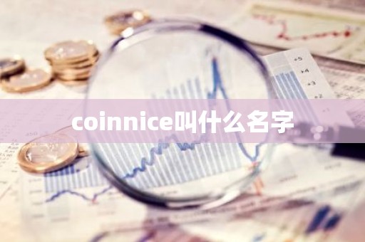 coinnice叫什么名字