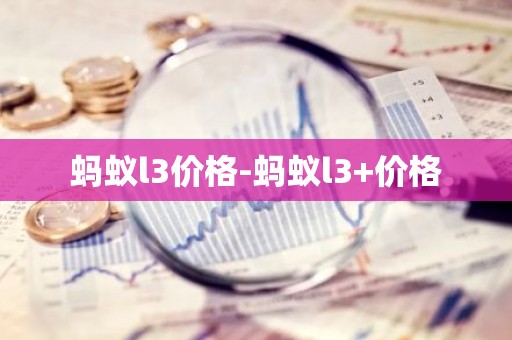 蚂蚁l3价格-蚂蚁l3+价格