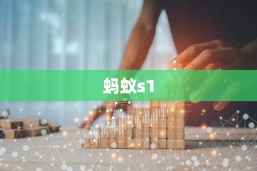 蚂蚁s1