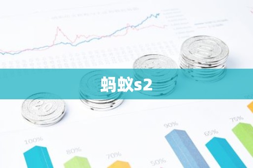 蚂蚁s2