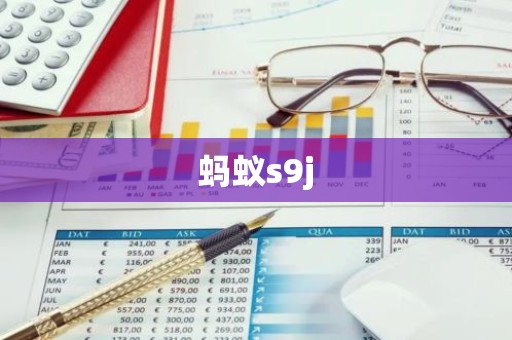 蚂蚁s9j