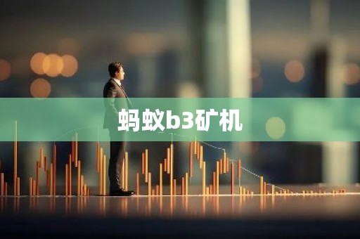 蚂蚁b3矿机