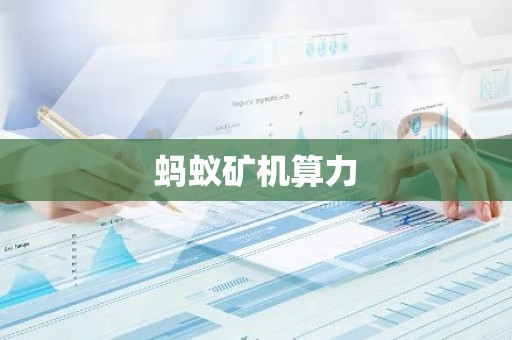 蚂蚁矿机算力