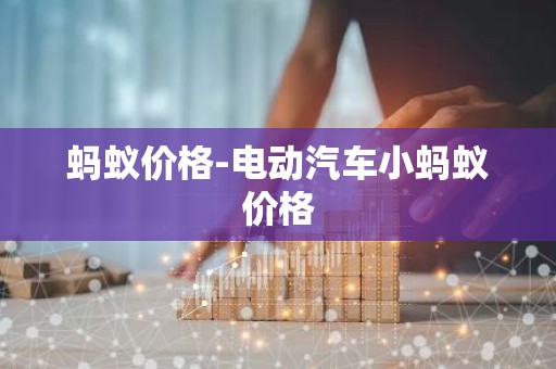 蚂蚁价格-电动汽车小蚂蚁价格