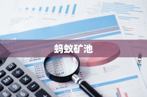 蚂蚁矿池